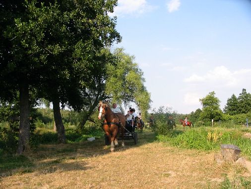Przejażdżka bryczką.jpg