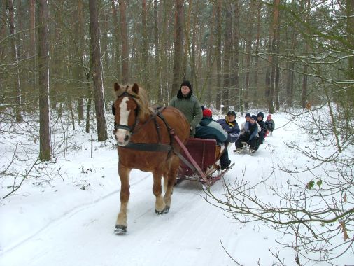 kulig2.jpg