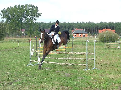 Skoki Rybno.jpg